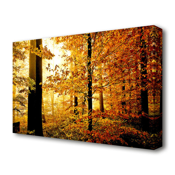 East Urban Home Beautiful Autumn Foliage Forest Canvas Print Wall Art